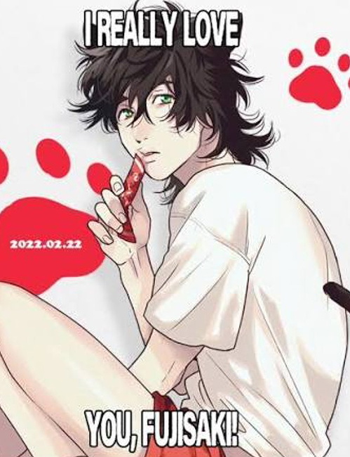🌓💚| toru fujisaki