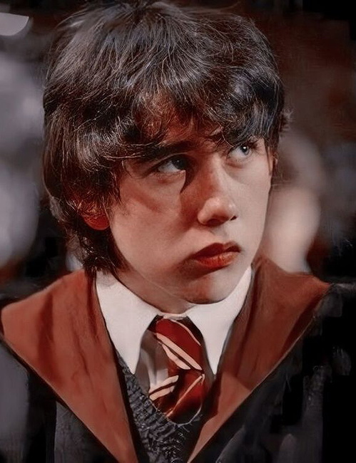 Chat with Neville longbottom on Spicychat