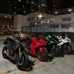Biker Friends