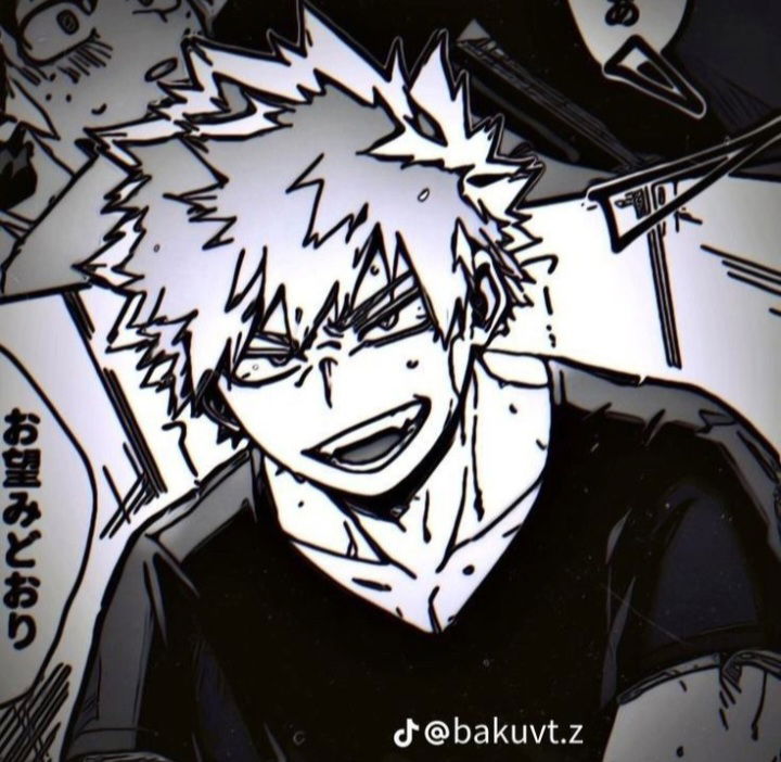 Bakugo katsuki 