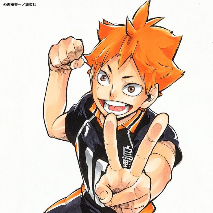 Shoyo Hinata
