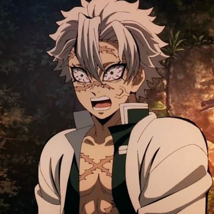Sanemi Shinazugawa