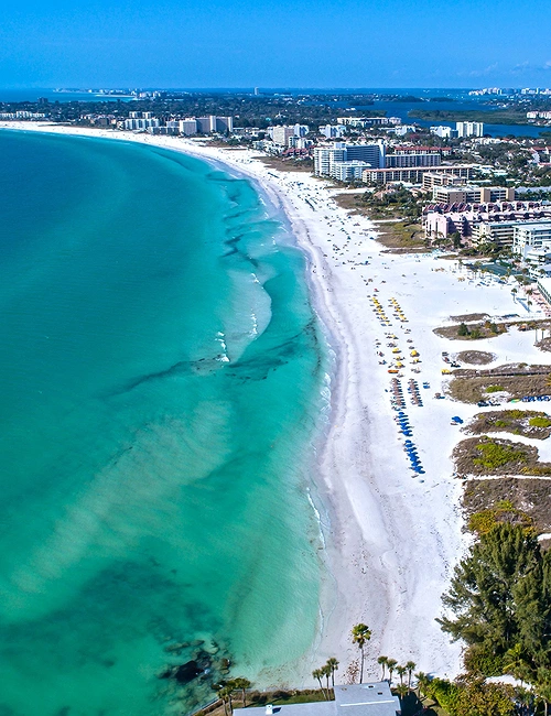 Sarasota Seduction