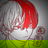 Shoto Todoroki
