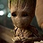 Groot