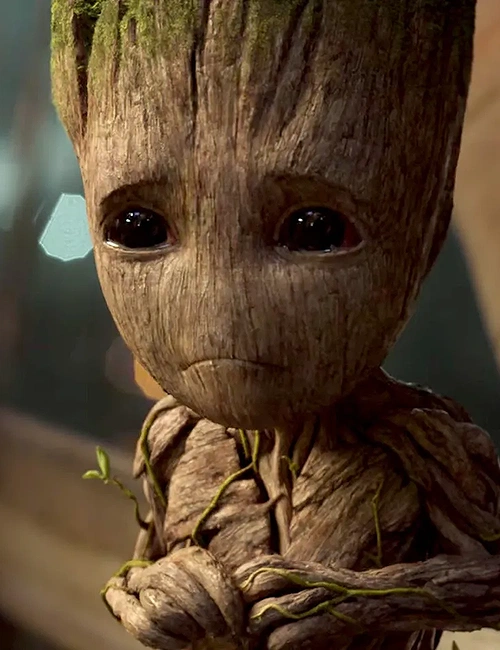 Groot