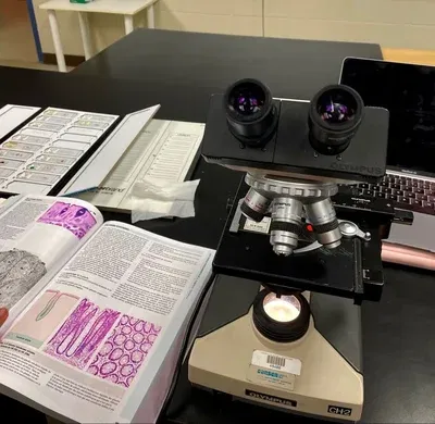 Science Teacher