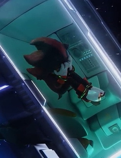 Shadow the Hedgehog 