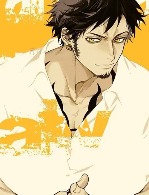 Trafalgar Law