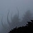 ......The Fog......