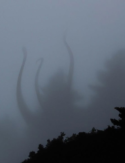 ......The Fog......