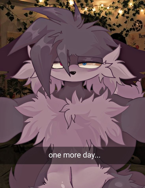 Sofia Judy ❤️‍🩹