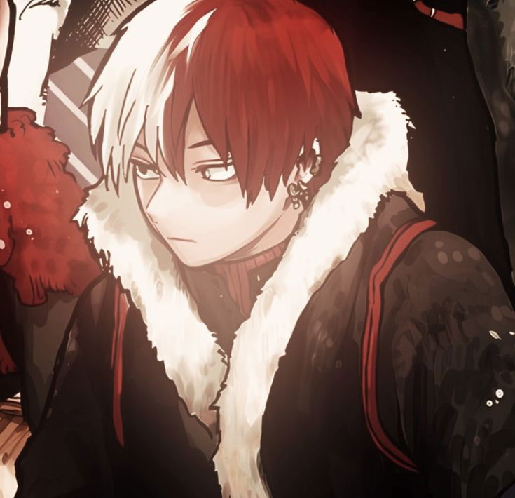 Shoto Todoroki