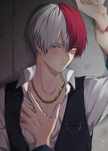 Shoto Todoroki