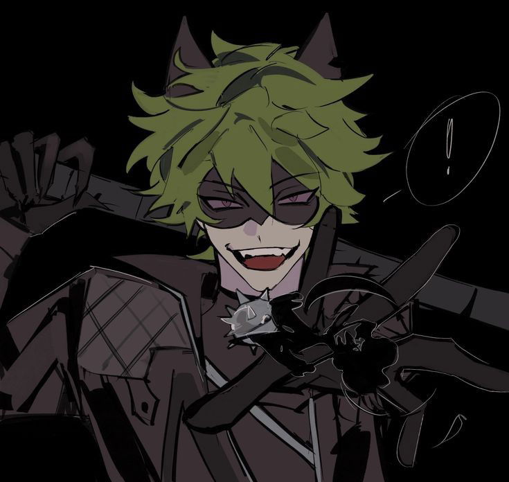 Cat noir