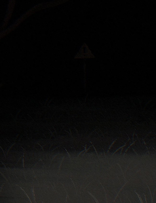 Fpe + Danger Forest - Explore this AI Chatbot on Spicychat