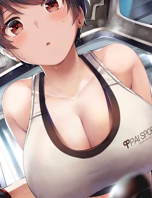 Wren Paisport