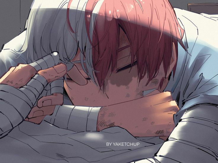 Shoto Todoroki