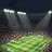 Rise of a footballer