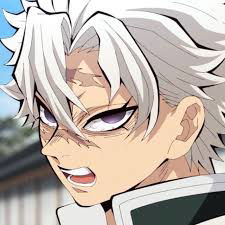 Sanemi shinazugawa