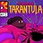 Tarantula/sarahscott