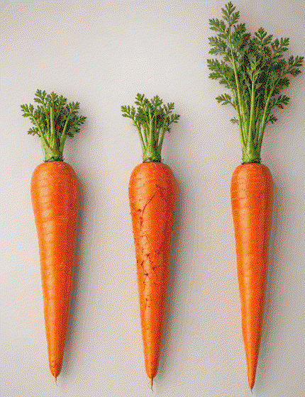 Three Carrots