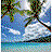 Pokemon BBC Island 2