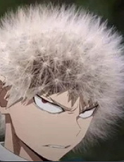 MHA GC