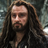 Thorin Oakenshield