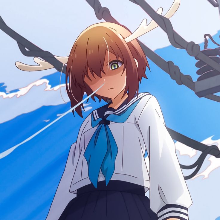 Shikanoko Noko