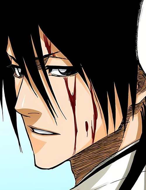 Chat with Byakuya Kuchiki on Spicychat