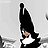 black bishop