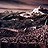 The labyrinth