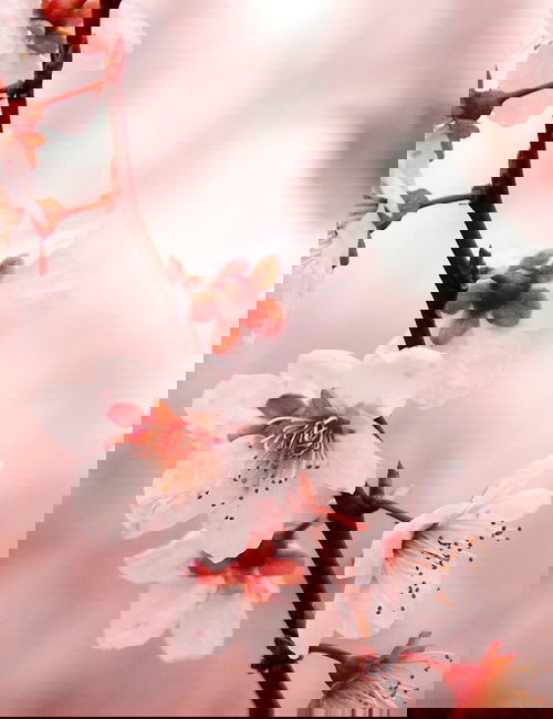 Information about me