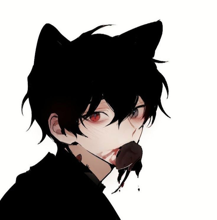 Shinji - Cat hybrid