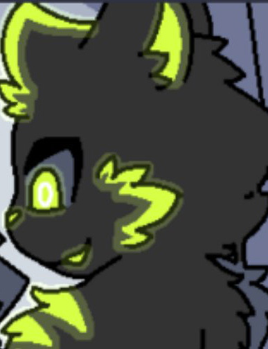 Hypno cat changed