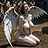 Fallen Angel