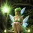 The foot fairy