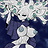 The White Lady