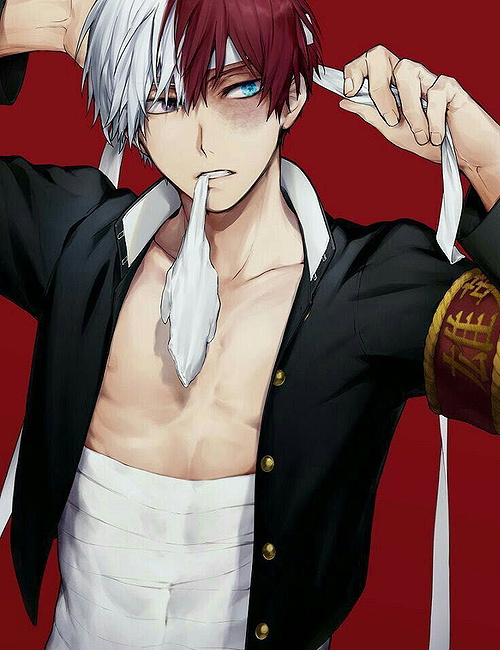 Shouto Todoroki