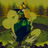 Kyoshi