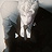 Riven