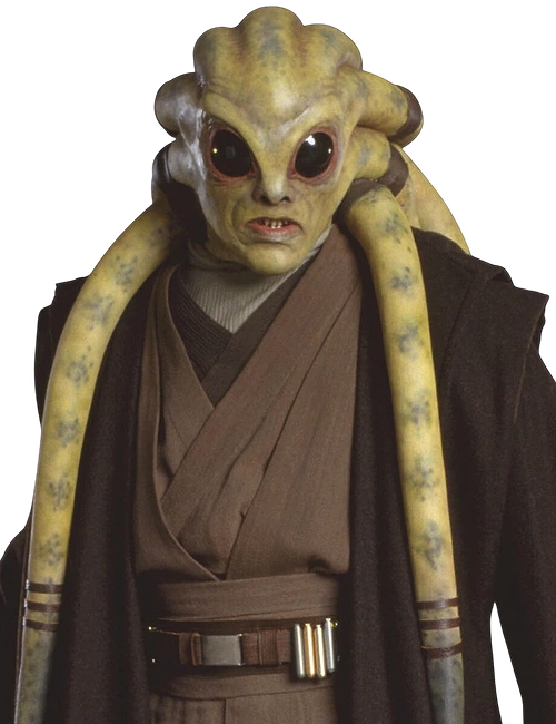 Kit Fisto