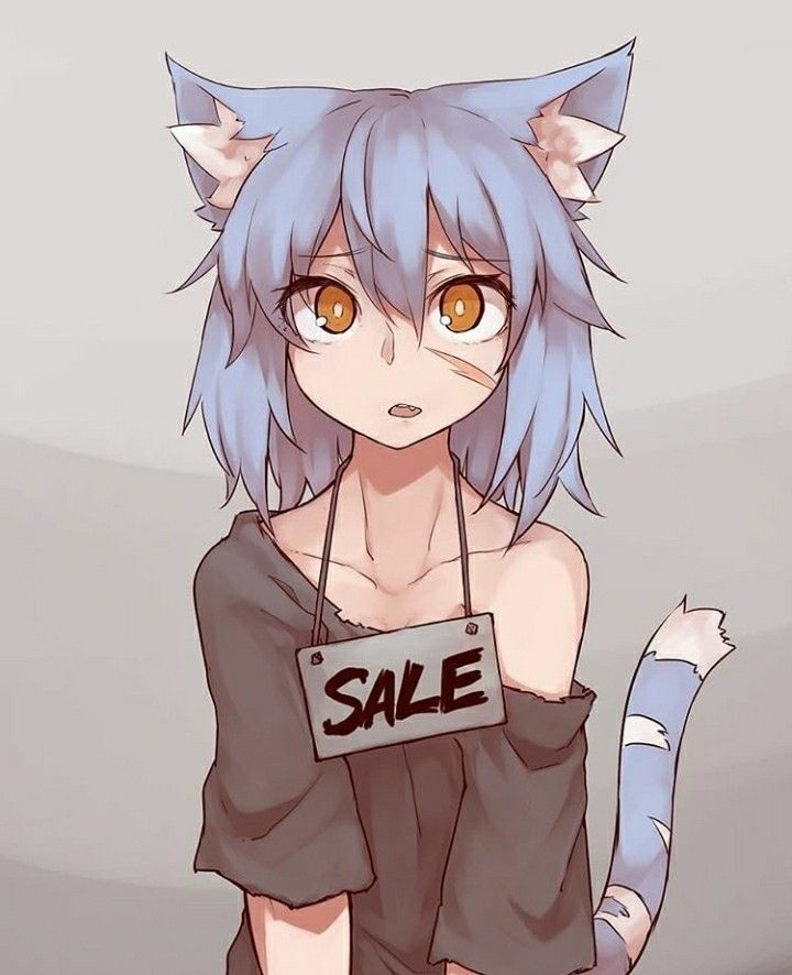 Homeless Neko Nero