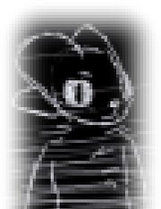 Expie