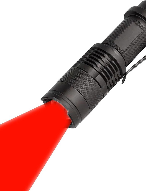 Chat with The Magic Flashlight - AI Sex Chatbot | Spicychat