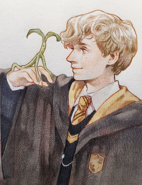 Newt scamander
