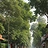 Rati Vihar