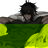 Rafael