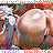 Arlecchino